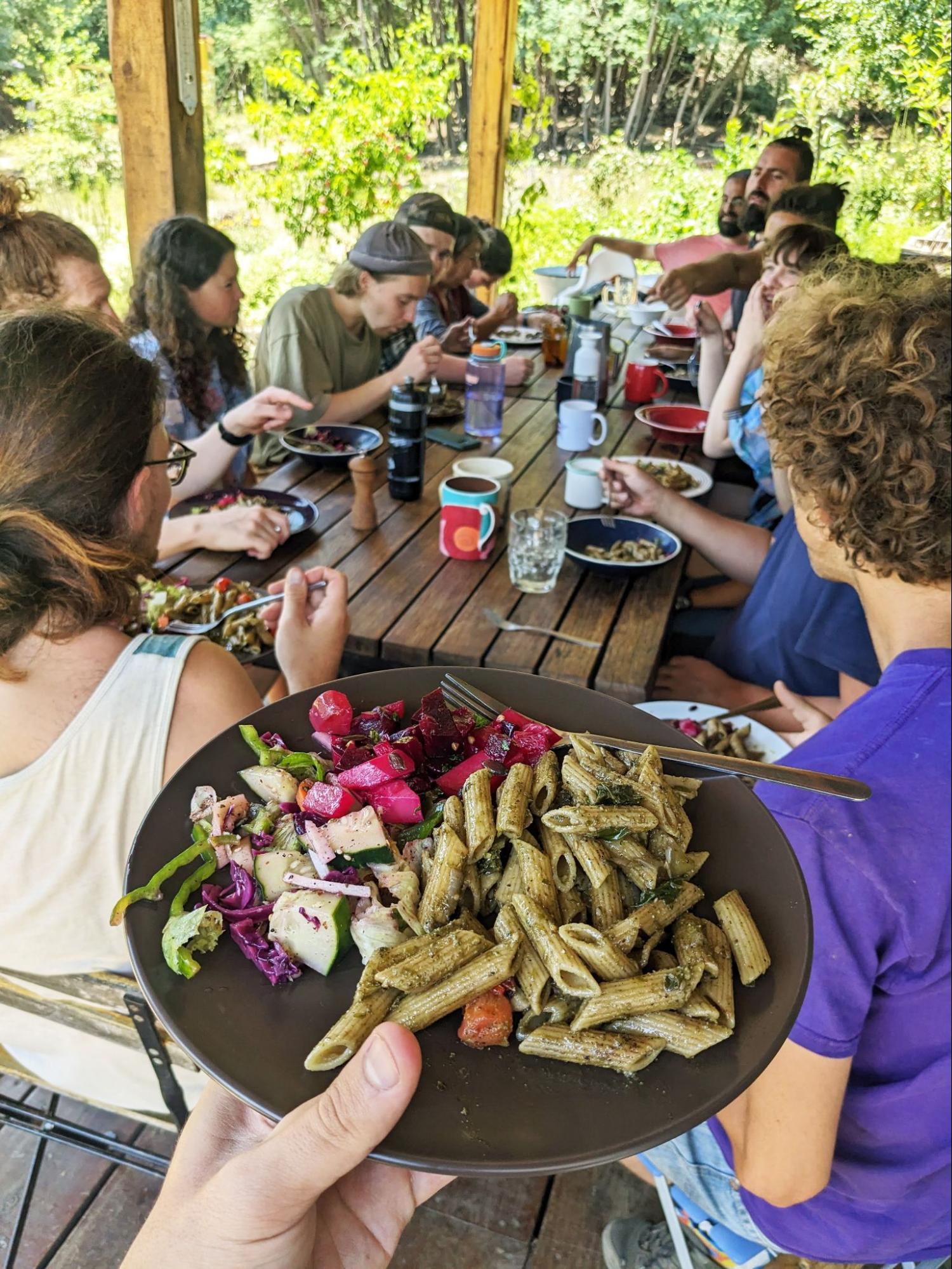 dish with vegan food